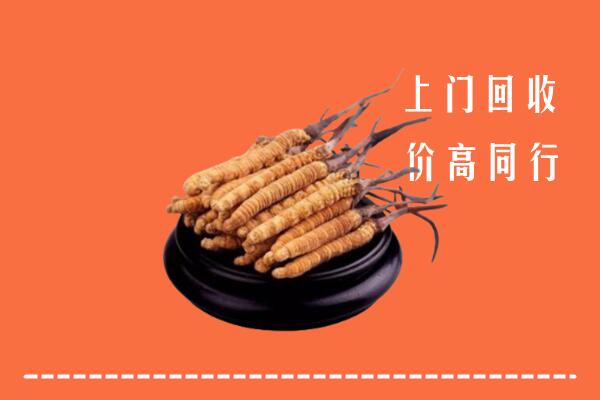 高价求购：陈巴尔虎旗回收散虫草