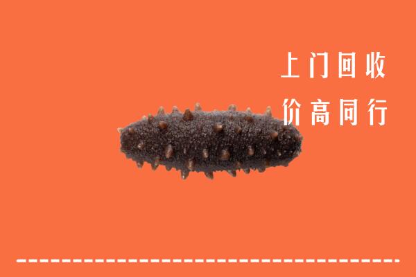 高价求购：陈巴尔虎旗回收海参