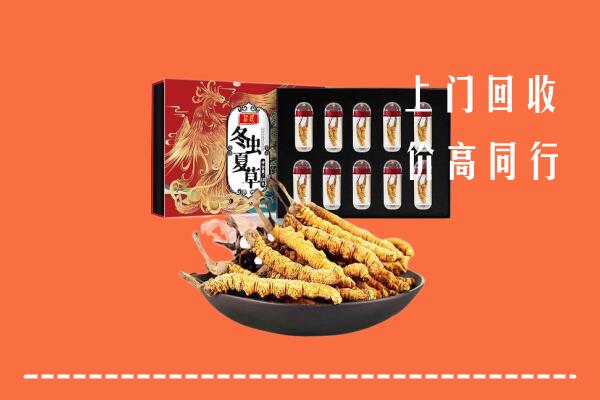 陈巴尔虎旗回收虫草